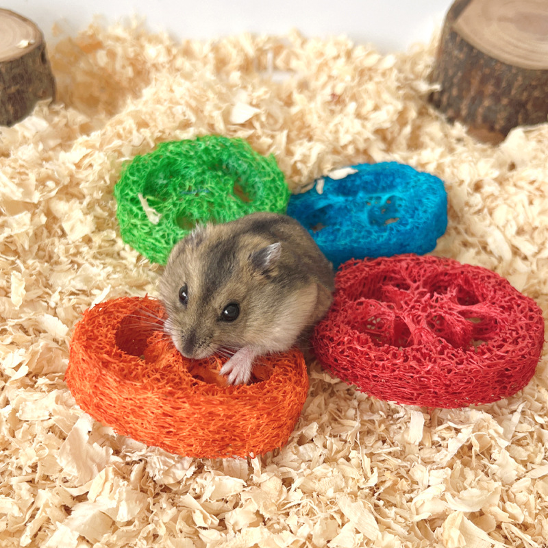 Natural loofah pet molars color cleaning loofah slices hamster Chinchilla molars toys bite-resistant snacks