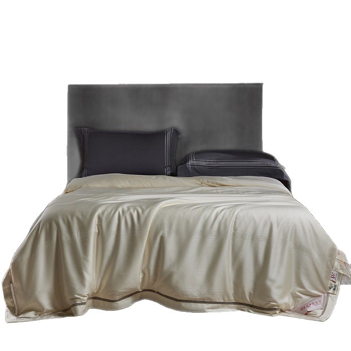 Class a Handmade New High-Count Cotton Silk Quilt Cut Out Spring & Fall Quilt Thickeneded Winter Quilt Manufacturer Wholesale