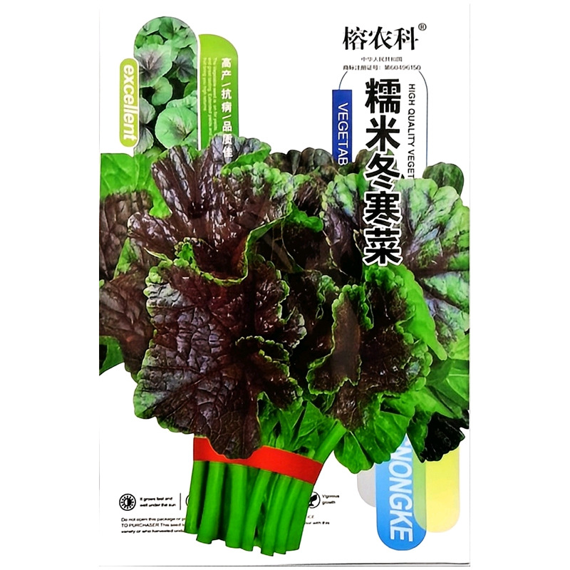 Four Seasons Vegetable Seeds, Chinese Cabbage Seeds, High Germination Rate, Rapeseed, Various Vegetable Seeds Wholesale