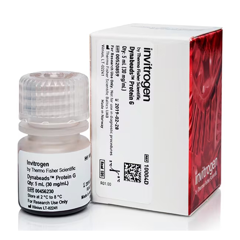 10004D Syme Fly Dynabeads Белок G 5мл Invitrogen для иммунопреципитации
