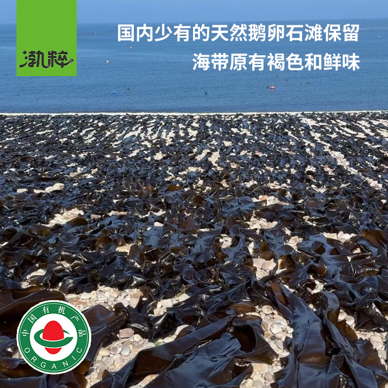 Kunshang Manufacturer Organic Cooked Dried Kelp Shreds Dry Goods Wholesale No-Wash No-Sand No-Cook Cold Salad Hot Pot Ingredients for Restaurants
