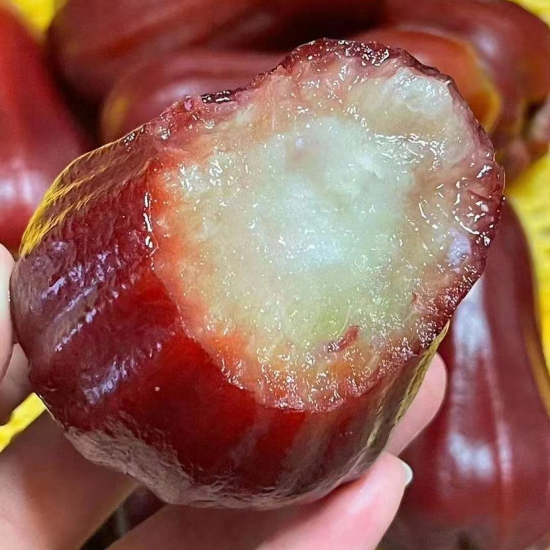 [Sf Express Home] Authentic Hainan Black Diamond Lotus Mist Fruit Tropical Fresh Fruit Sweet and Juicy Hainan Specialty