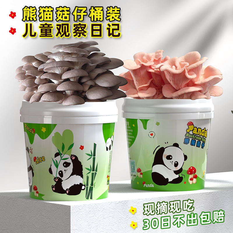 Mushroom Potted Planting Barrel Balcony Kidsren's DIY Pleurotus Culture Edible Fungus Bag Box Stick Home School