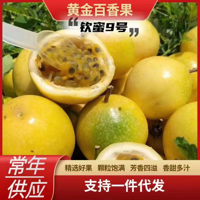 Циньми № 9 Золотая маракуйя доступна круглый год из первоисточника. Сезонный свежий фрукт, золотая маракуйя