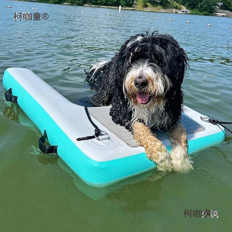 Dog Climbing Ladder Water Entertainment Eva Anti-Skid Yacht Inflatable Combination Surfboard Pet Water Metabo