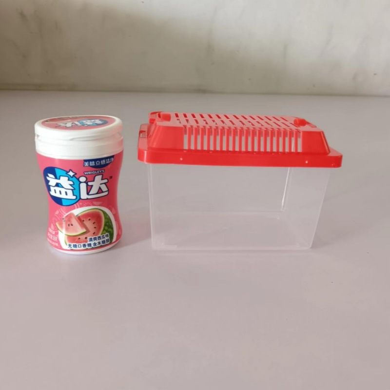 Portable transparent plastic box hamster transport belt box turtle breeding box crawler feeding box goldfish stall ring