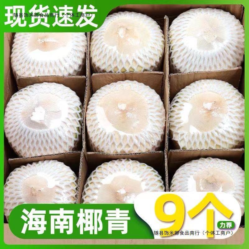 Hainan Coconut Green Fresh Coconut 2/4/6/9 Pack Seasonal Fruit for Pregnant Women Whole Box Specialty Wholesale Free Shipping