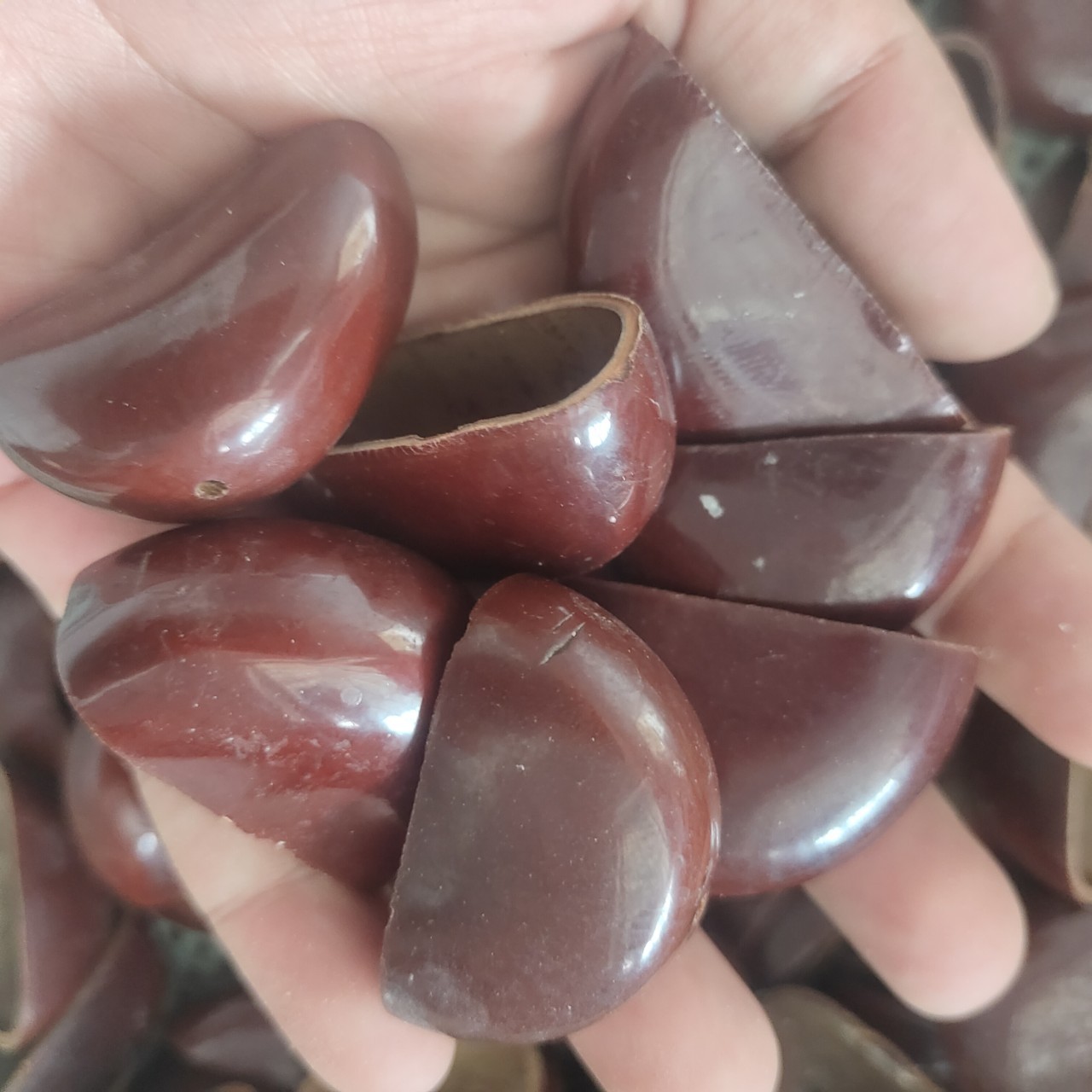 DIY Wind Chime Material Kit with Handmade Fruit Shells for Making Hand-Cranked Bells