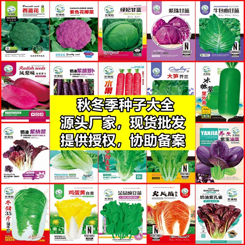 Оптовая продажа семян салата осенью и зимой, оригинальные семена китайской капусты, семена рассады овощей