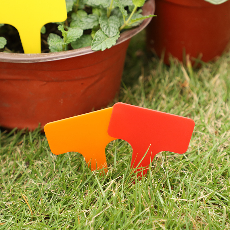 Horticultural label T-type succulent plant flower plate plastic rainproof seedling flower pot sign factory wholesale