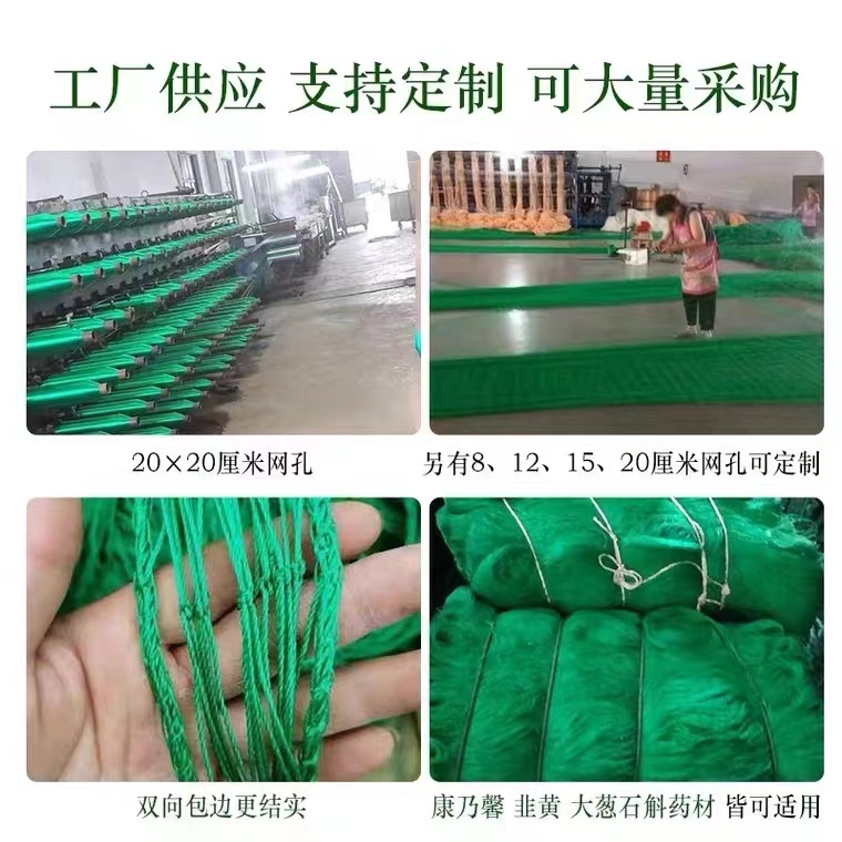 Greenhouse planting square net onion chrysanthemum net planting garlic yellow celery Dendrobium Yam anti-fall net climbing net manufacturer