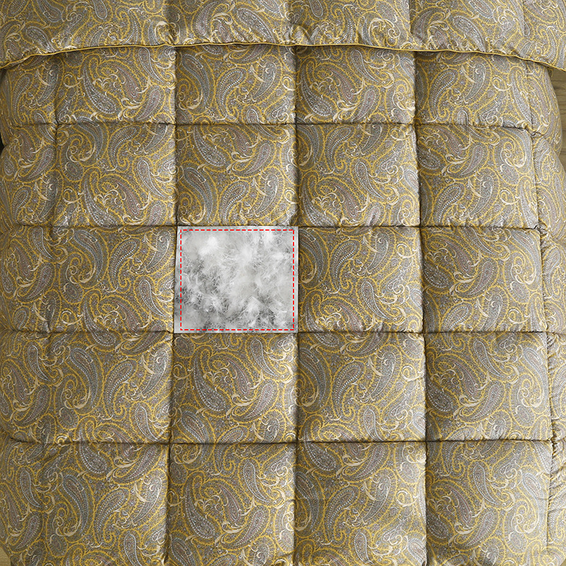 Amazon Temu Cross-Border Home Textiles Export Export Feather Velvet Quilt Winter Quilt Gift Quilt Tv Shopping Live Broadcast