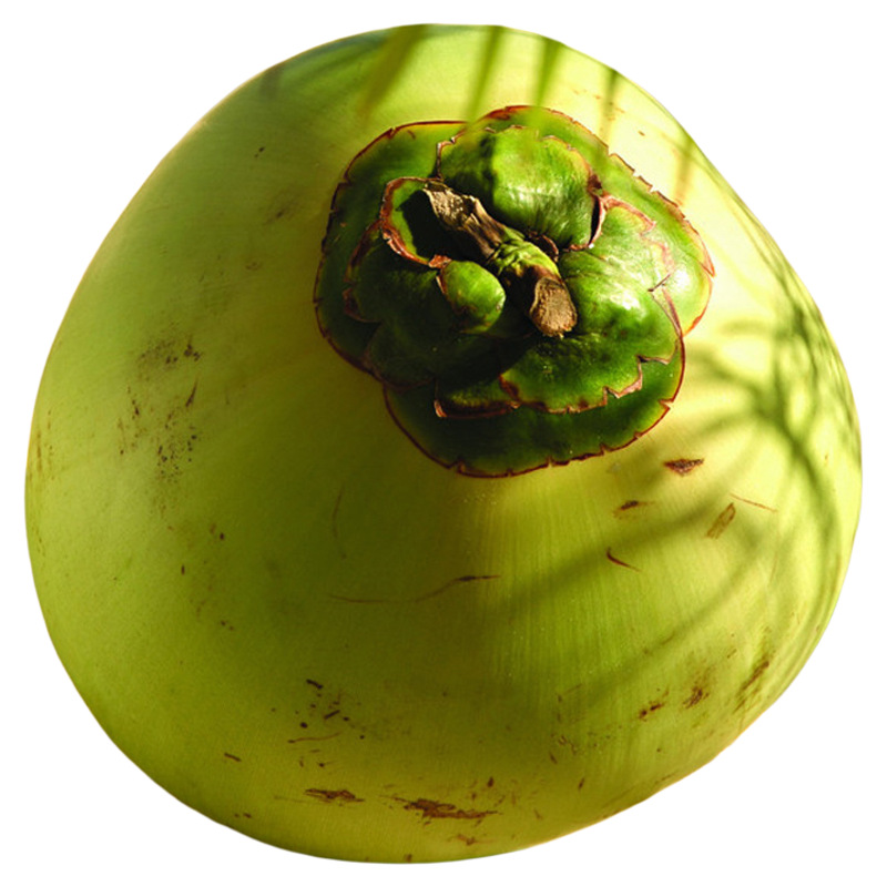 Hainan Fresh Green Coconut Egg Coconut Emperor Coconut Green Skin Milk Coconut Treasure Meat Thick Water Free Shipping Whole Box