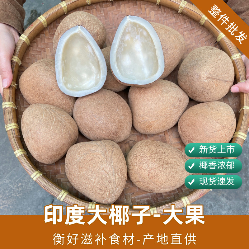 Большой кокос, индийский кокосовый король, большой фрукт, оптовая продажа, куриный кокос, ресторан, большой кокосовый король, морской кокосовый горшок, кокосовая курица 15кг