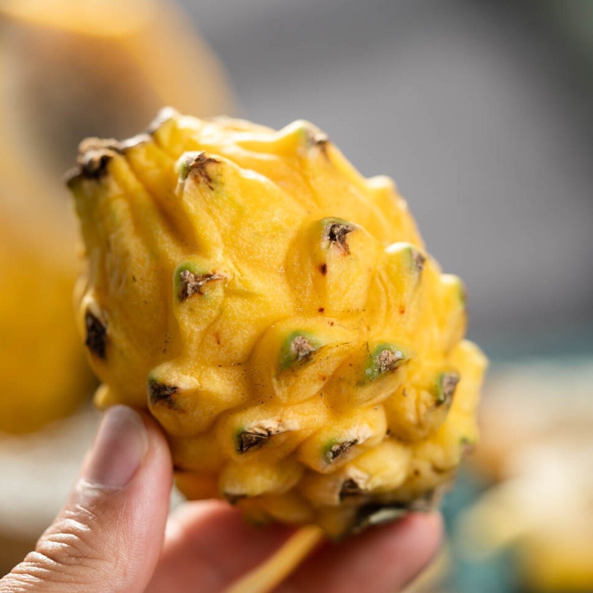 Bird's Nest Fruit, Kiwi Fruit, Boxed Edible Fruit, Non-Lychee Fruit, Direct Delivery from the Place of Origin, Gift Box, Free Shipping, Sf Express, Tropical and Sweet