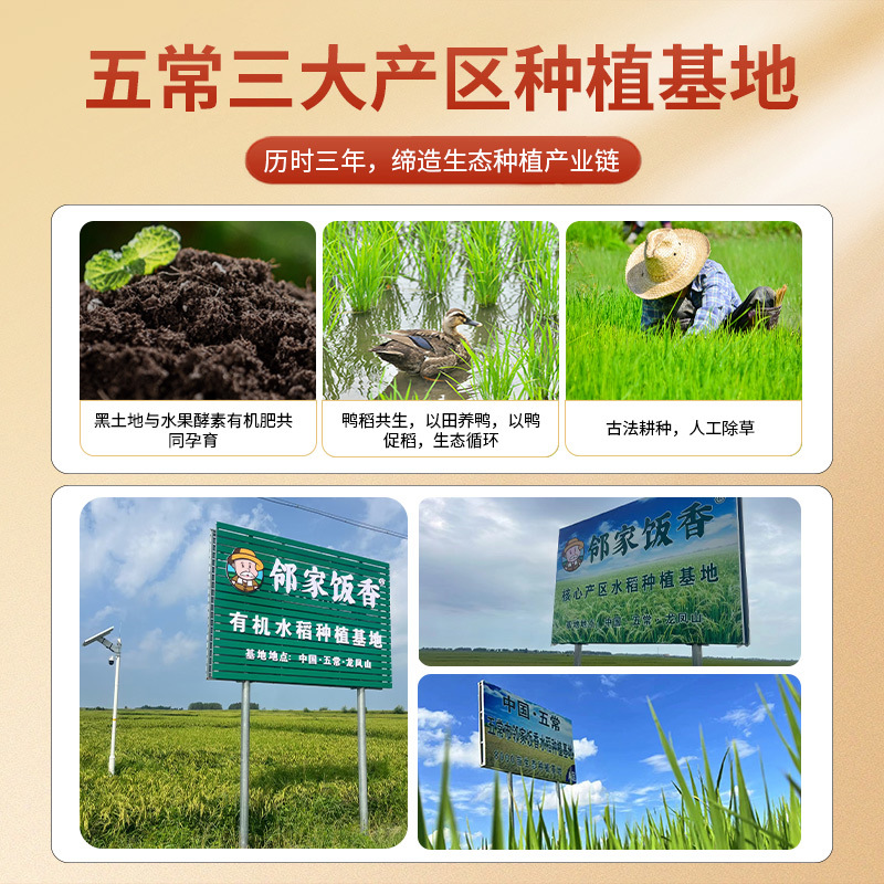 Northeast Organic Wuchang Rice 5kg Bag 5kg Dao Huaxiang Rice 19266 Manufacturer Wholesale and Delivery