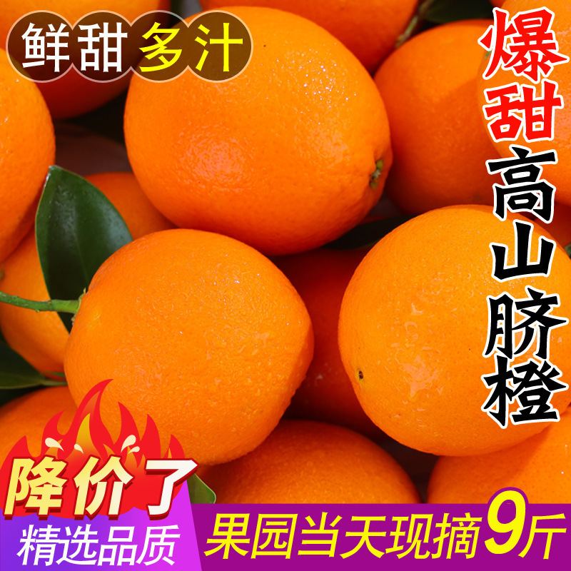 Orange Jiangxi Gannan Variety Navel Orange 5kg Fresh Fruit Seasonal Whole Box Authentic Juicing Jelly Orange Rock Sugar Sweet