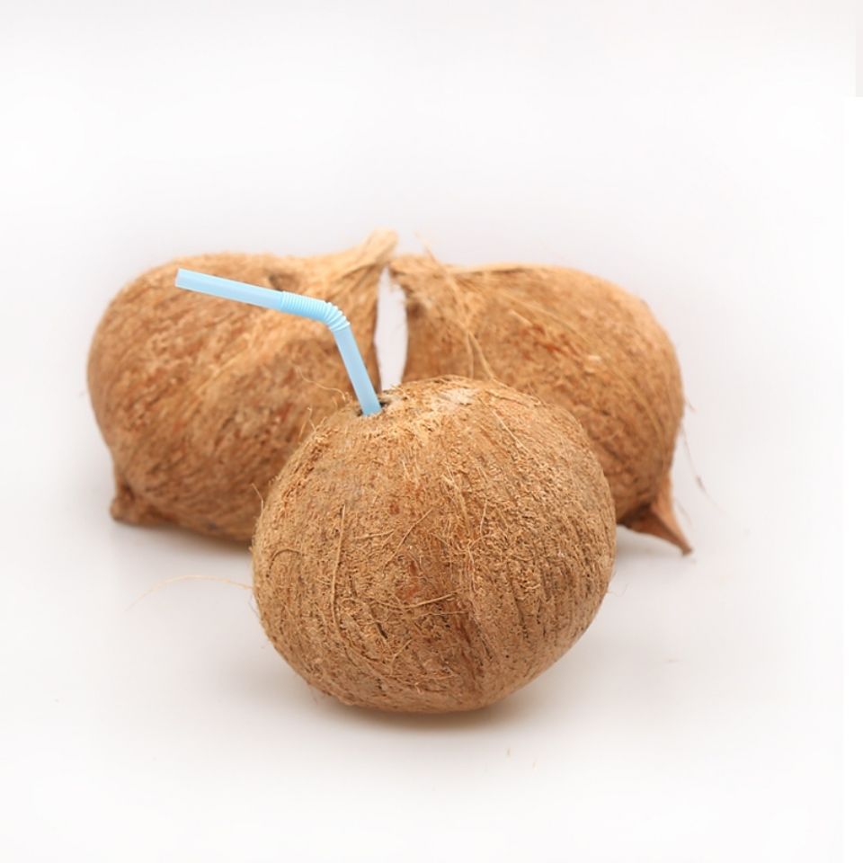 Hainan Seasonal Old Coconut Large Fruit Fresh Tropical Pregnant Women Fruit Stewed Chicken Soup Special Hairy Coconut Non-Thai Coconut Green