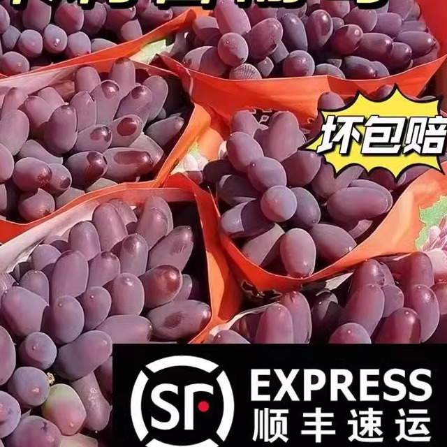 [Шунь Фэн Бао Ю] Аутентичные восточно-азиатские безкосточковые виноград Тюльпан сейчас собраны и для беременных
