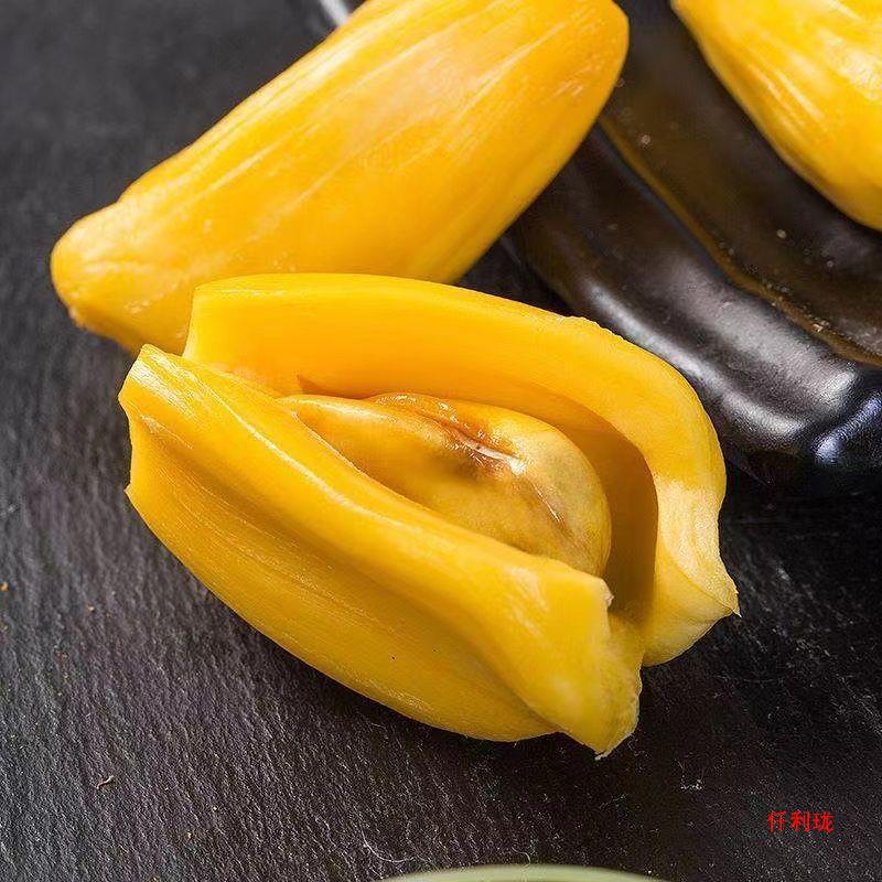 Hainan jackfruit fresh fruit Sanya seasonal pick yellow wood Polo fake durian a whole wholesale postage