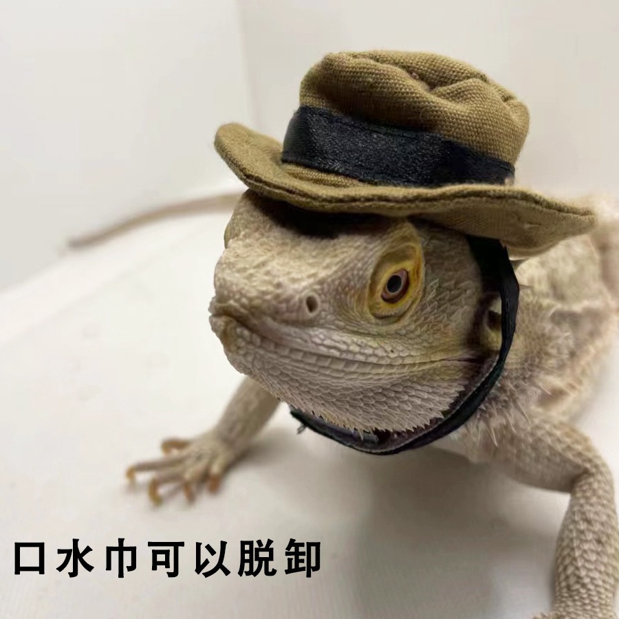 [Small wholesale] Lizard hamster hat saliva towel crawling pet out to change into a walking lizard