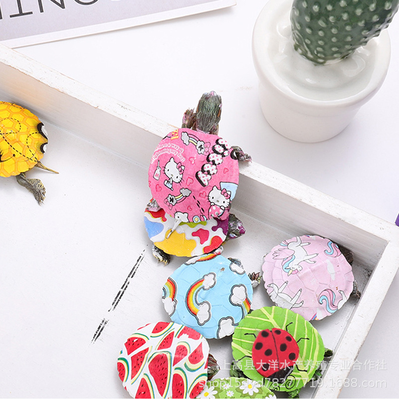 The stall wholesale colorful little turtle pet living creature color small grass turtle colorful viewing Brazilian turtle small color turtle