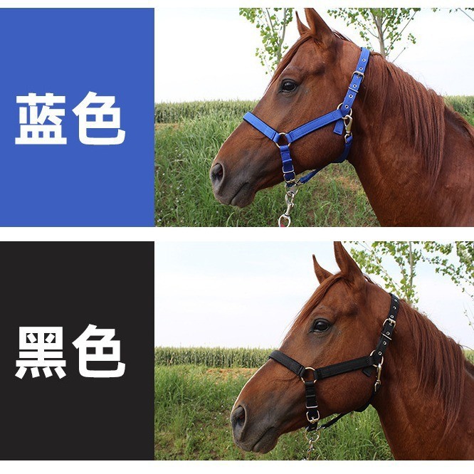 Horse Bridle Rope Equestrian Supplies Horse Bridle Set Size Dwarf Horse Faucet Harness Type Headgear Accessories Complete Set of Plates