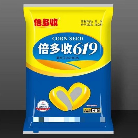 Гибридные семена кукурузы 2023 года одобрены Таймс Море чем 619 красной оси гибридные семена кукурузы