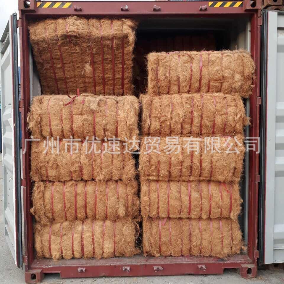 coconut palm silk filler coconut coconut tendon staple fiber brown silk plant fiber green covering hemp rope garden green plant