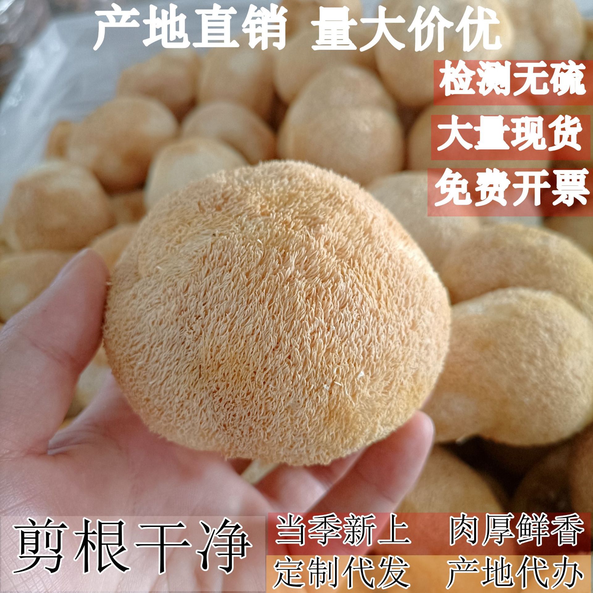 Прямые продажи Origin гриб макака Гутянь 500г сушеный гриб макака Гутянь специальность оптовая съедобная гриб макака оптовая