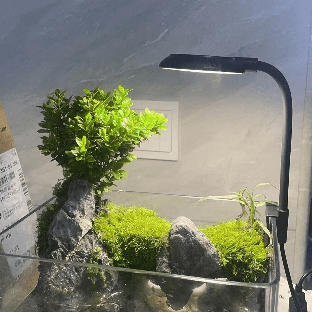 Micro Landscape Lighting USB Socket High Brightness Energy-Saving Led Fish Tank Light Desktop Fish Tank Light Plant Growth Fill Light