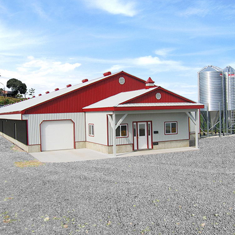 Hot galvanized steel structure chicken house export production Prefabricated steel structure chicken shed steel structure construction chicken farm