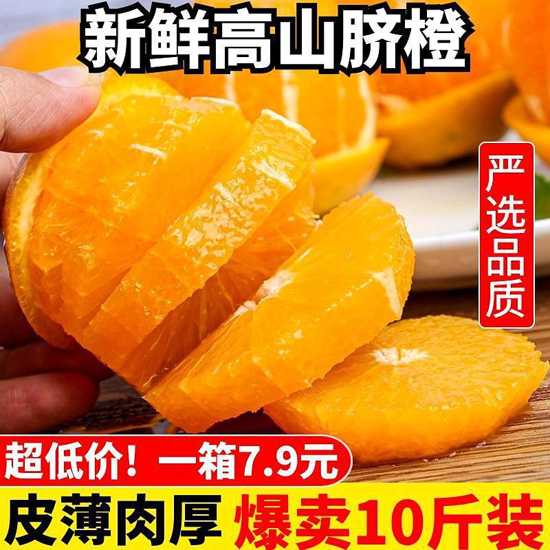 Authentic Zigui Alpine Summer Orange Navel Orange Seasonal Orange Fresh Fruit Seasonal Sweet and Sour Orange Non-Gannan Rock Sugar