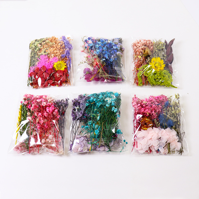 Customize All Kinds of Mixed Immortalized Dried Flowers DIY Material Package Real Flowers Dried Flowers Candle Fan Photo Frame Dried Flower Material Box