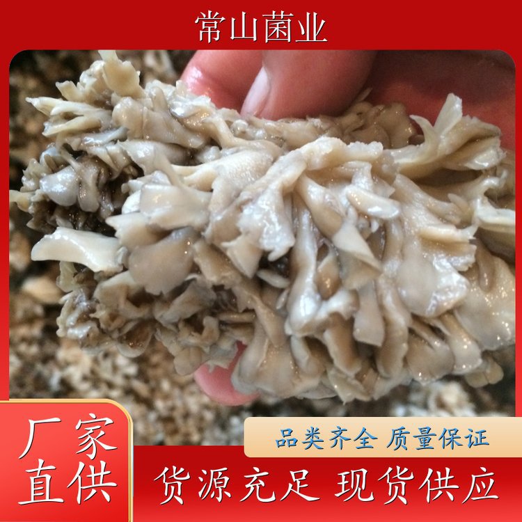 Соленый серый цветок дерева, профессиональная технология выращивания, питательный суп для хот-пота и кулинарии, оптовый производитель