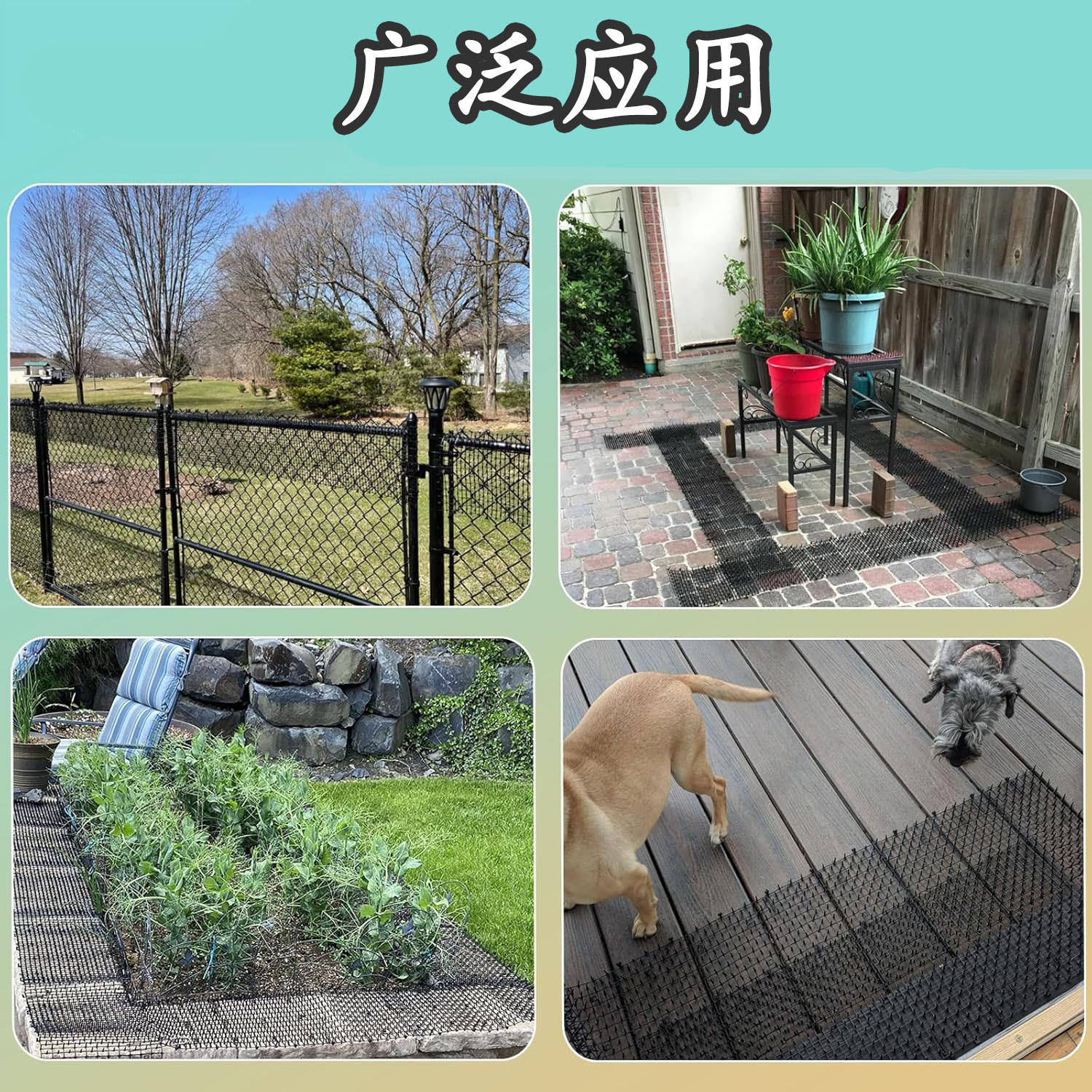 Anti-Cat Thorn Nail Cross-Border Cat Repellent Artifact to Drive Away Stepping on Plastic Garden Household Thorn Mat Net Mat Gardening Pet