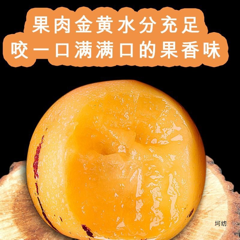 [Free Shipping] Ripe Stone Forest Ginseng Fruit on the Tree, Round Fruit, Yunnan Stone Forest Ginseng Fruit, Seasonal Fresh Fruit for Pregnancy