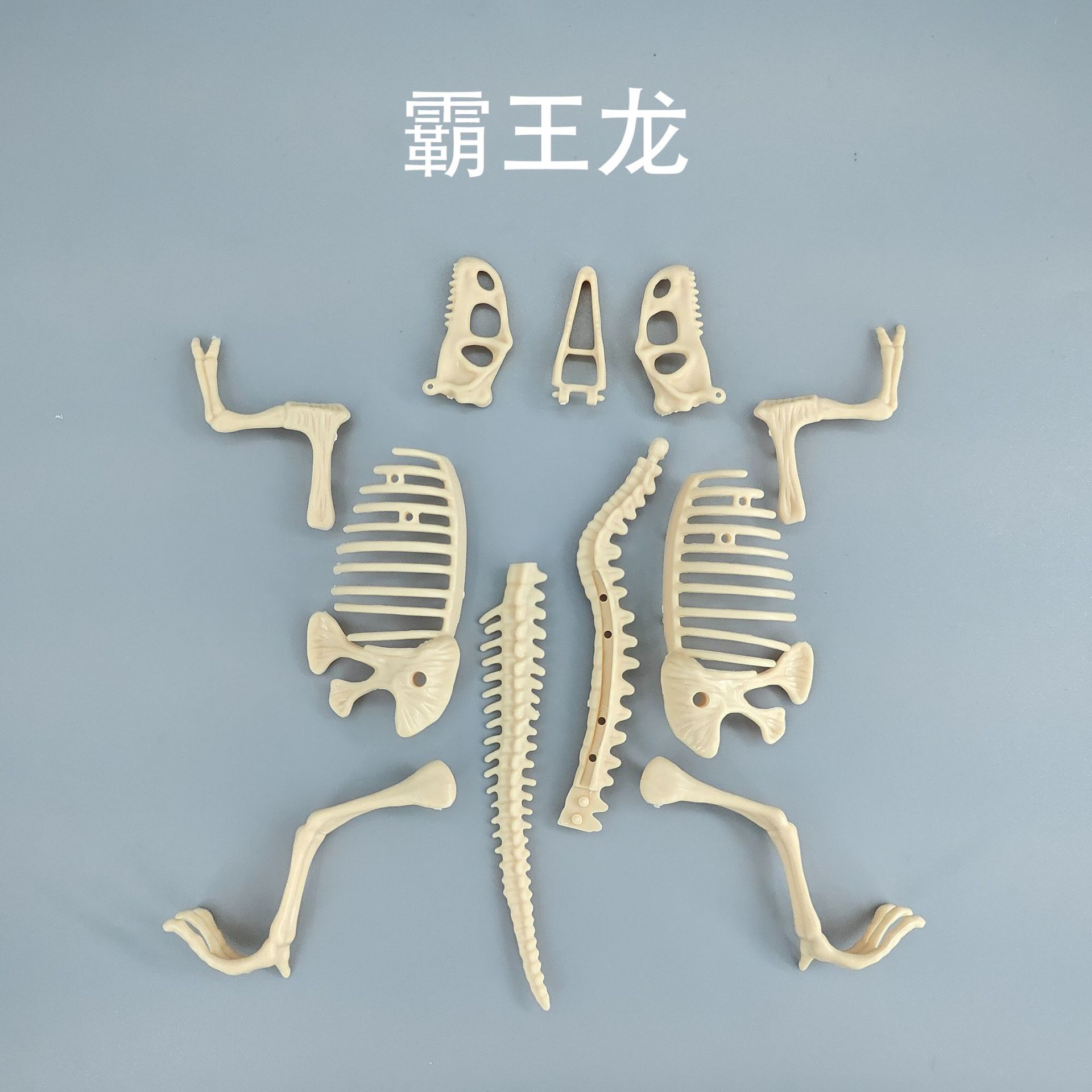 Archaeological disassembly dinosaur skeleton large animal dinosaur fossil luminous toy mining tools manufacturers wholesale cross-border
