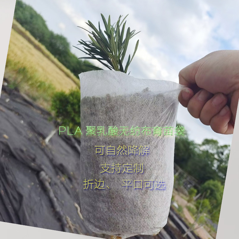 Биоразлагаемые мешки из полилактидной ткани для экологического выращивания грибов