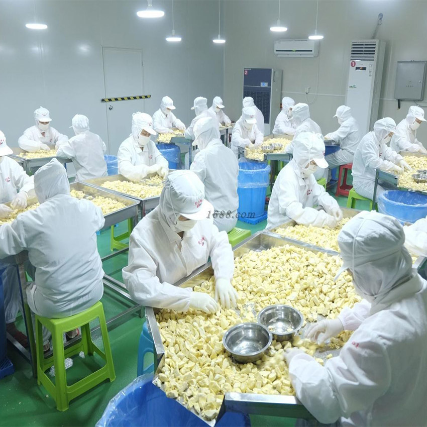 Manufacturer Wholesale Fresh Thai Golden Pillow Original Cut Bulk Dried Fruit Snacks Large Batch Freeze-Dried Durian