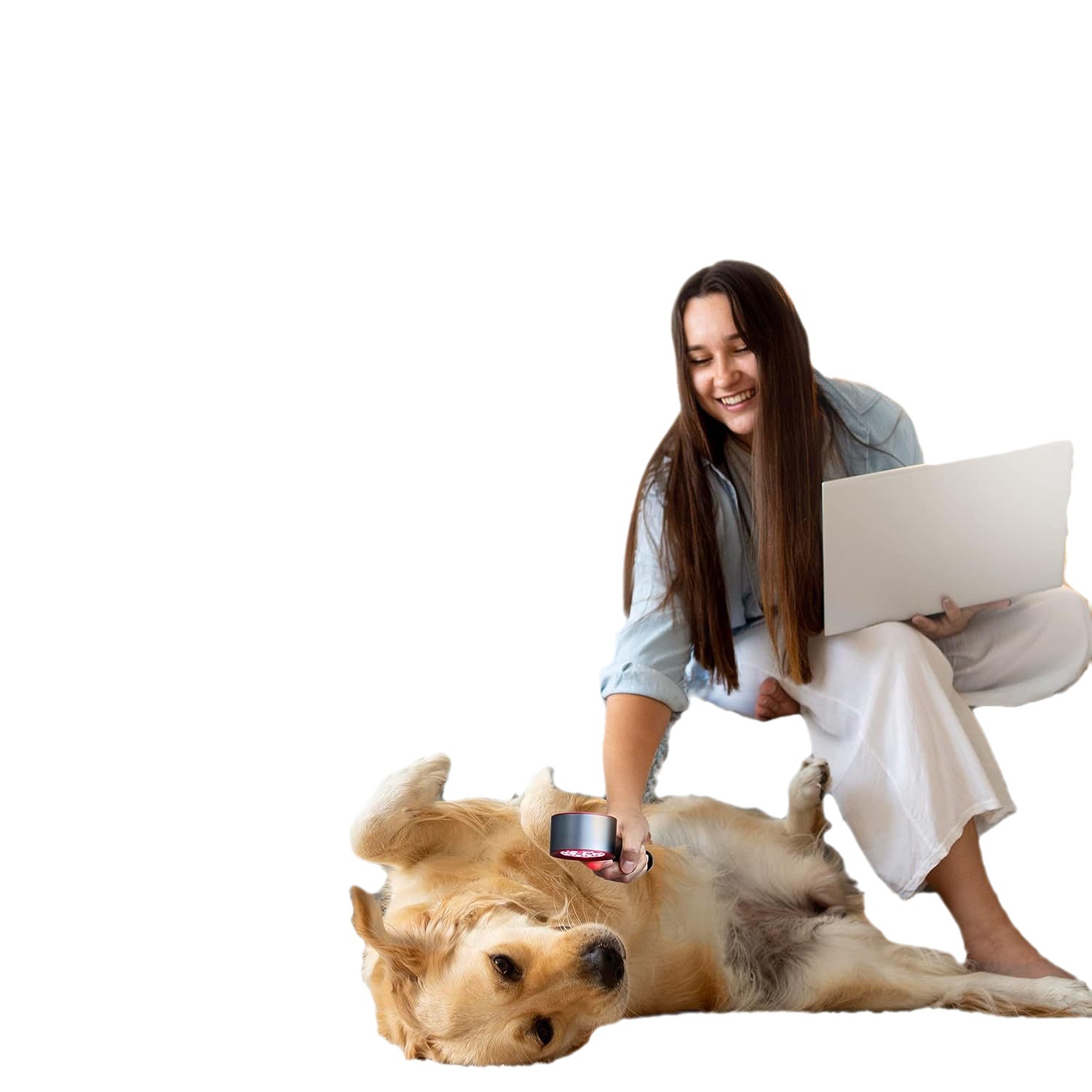 Cross-Border Hot-Selling Red and Blue Light Handheld Beauty Instrument Pet Skin Treatment Care Instrument Repair Whitening and Lightening Wrinkles