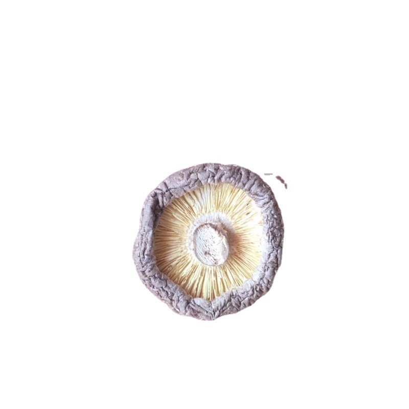 New Xixia Mushroom Dried 500g Hotel Catering Bulk Wholesale Rootless Mushroom Braised Chicken Fragrant Mushroom Dried