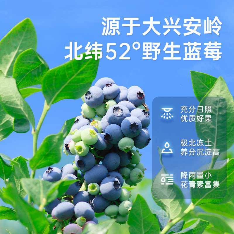 Blueberry Lutein Ester Vitamin C Drink Puree Original Liquid Juice for Students and Kidsren to Learn to Stay up Late with Eyes for Adults, Middle-Aged and Elderly People