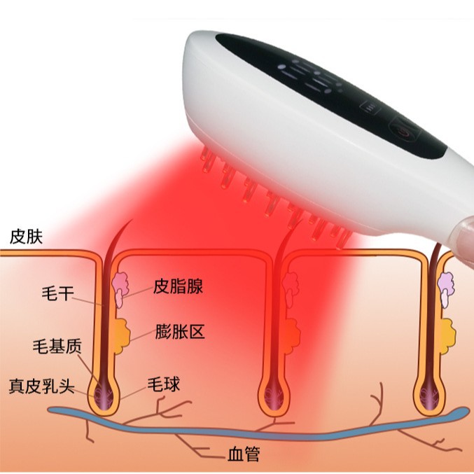 2025 Electric Hair Growth Comb Anti Hair Loss Scalp Massage Physiotherapy Ion Vibration Red Light Red Light Physiotherapy Comb