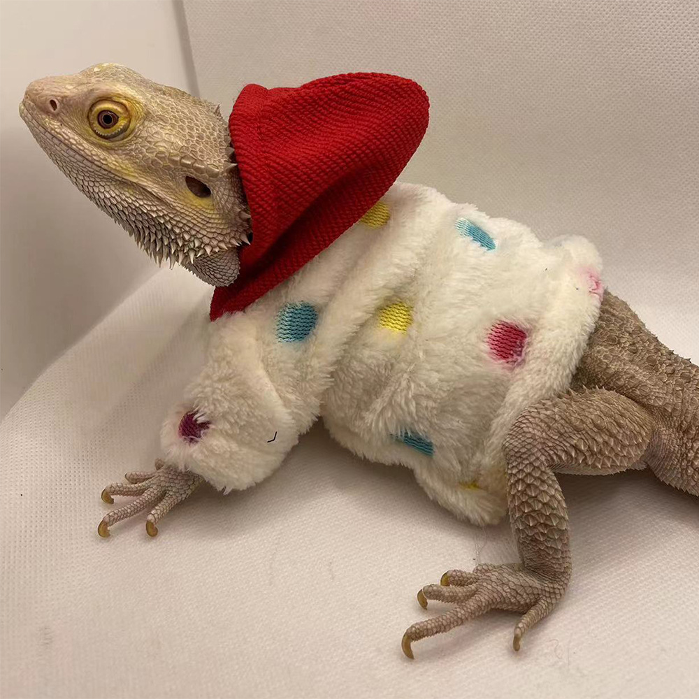 Lizard Clothes Hoodie T-shirt Climbing Pet Going Out Transformation Clothes Walking Lizard Small Pet Clothes Supplies