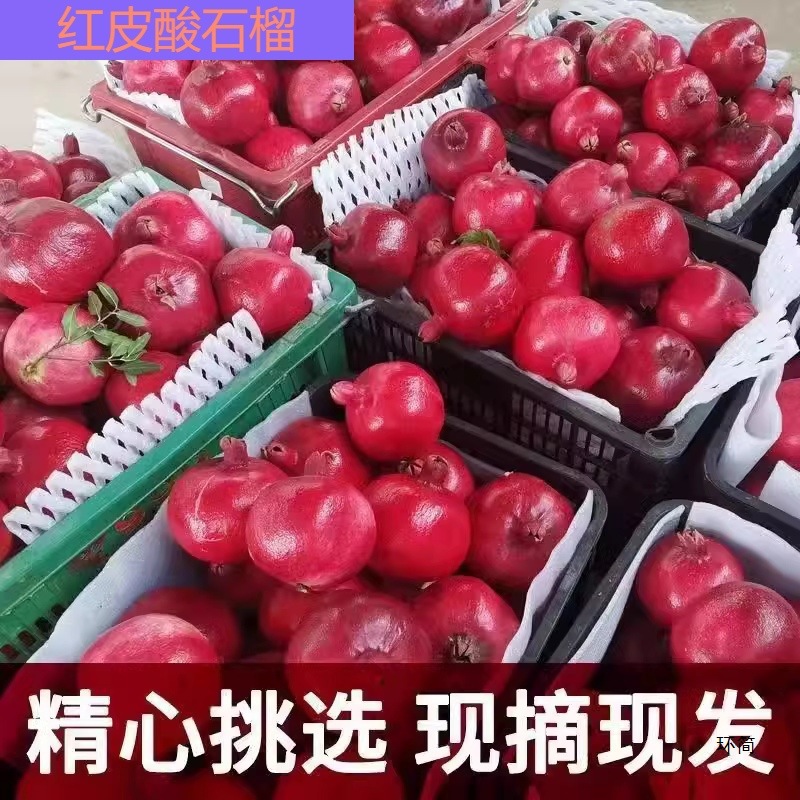 Бесплатная доставка гранатов Тунисских мягкосеменных из Шэньси, для беременных женщин