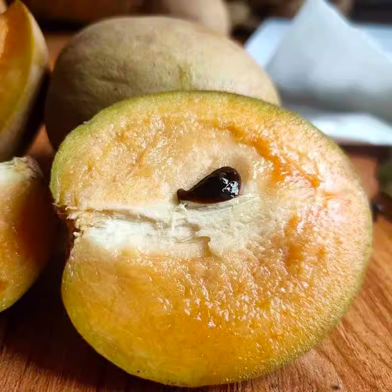 Hainan人心果 2.5kg Fresh Seasonal Fruit for Pregnant Women Tropical Prickly Pear Ginseng Fruit Specialty Ready for Sale