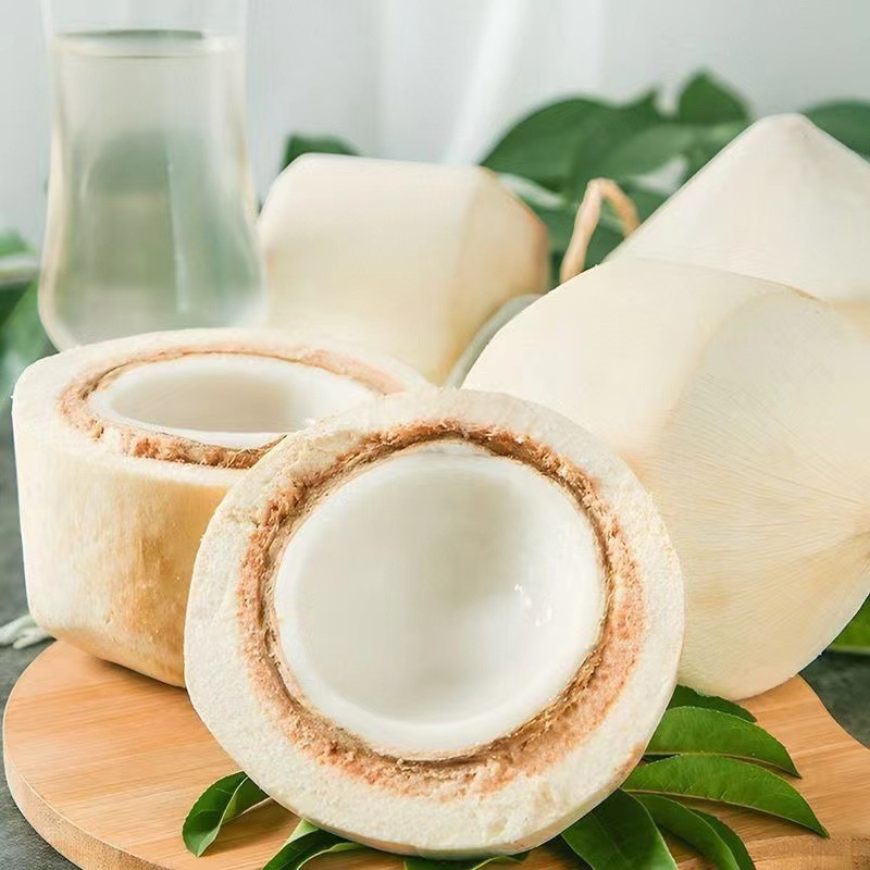 [Strictly Selected] Thai Perfume Coconut Green Replacement 4kg Fresh Perfume Ye Zi Pregnant Women Small Coconut Milky Sea Coconut