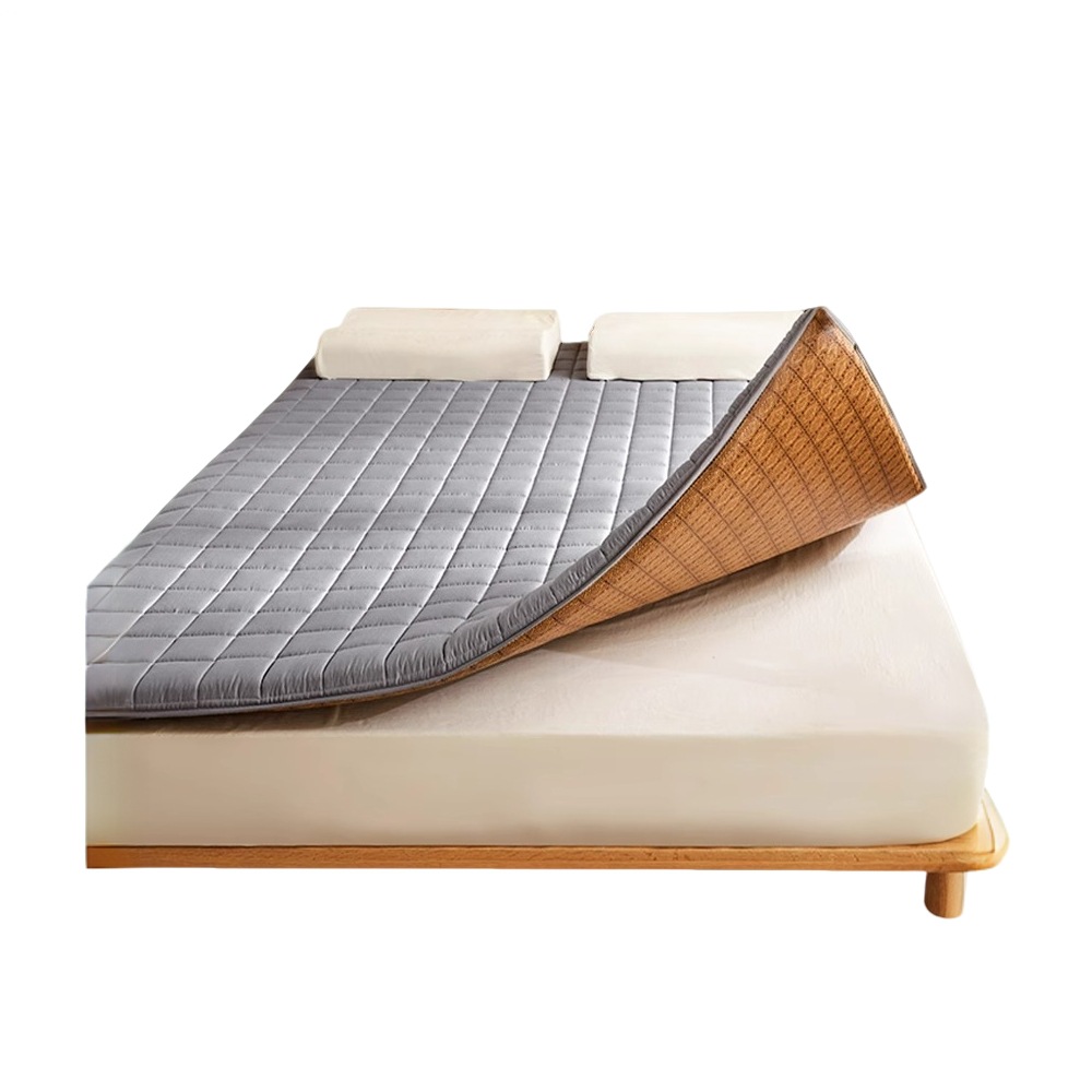 Tatami Summer Ice Silk Mat Mat Cushion Student Dormitory Single Winter and Summer Dual-Use Folding Thin Household