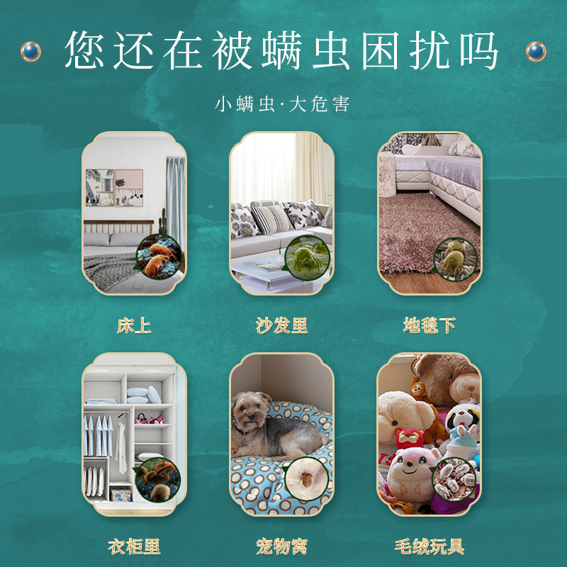 Beijing Tongrentang Mite Removal Bag Mite Removal Bag Plant Extraction Baby Pregnancy Applicable Safety Mite Removal Spot Fast Delivery